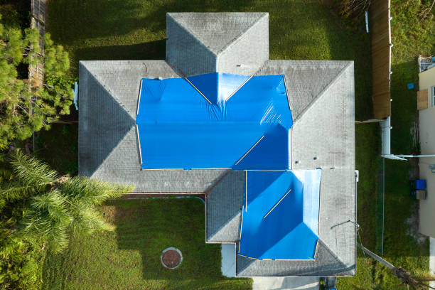 Best Asphalt Shingle Roofing  in Salt Creek Commons, IN