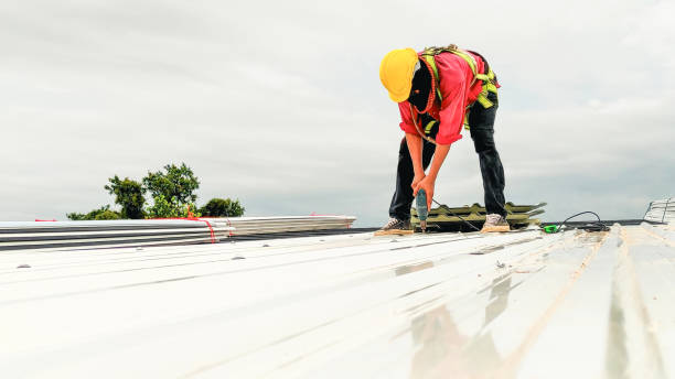Best Hot Roofs  in Salt Creek Commons, IN