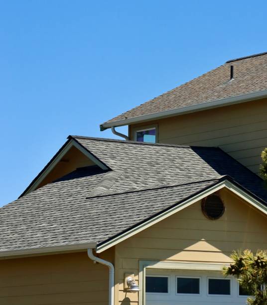 Best Roof Insulation Installation  in Salt Creek Commons, IN
